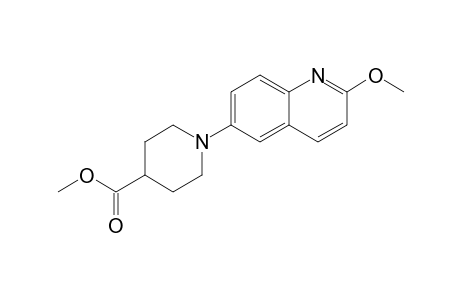 Methyl 1-(2-methoxyquinolin-6-yl)piperidine-4-carboxylate