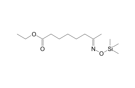 Ethyl octanoate 7-ketoxime 1TMS