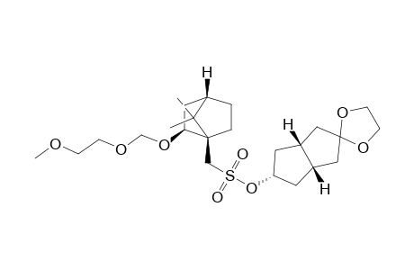 Bicyclo[2.2.1]heptane-1-methanesulfonic acid, 2-[(2-methoxyethoxy)methoxy]-7,7-dimethyl-, hexahydrospiro[1,3-dioxolane-2,2'(1'H)-pentalen]-5'-yl ester, stereoisomer