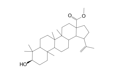Lup-20(29)-en-28-oic acid, 3-hydroxy-, methyl ester, (3.beta.)-