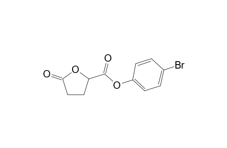 (R,S)-4-bromophenyl 5-oxotetrahydrofuran-2-carboxylate
