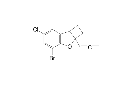 4-bromo-6-chloro-2a-propa-1,2-dienyl-2,7b-dihydro-1H-cyclobuta[b]benzofuran