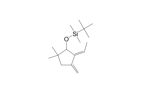 Z-[(2,2-DIMETHYL-4-METHYLENE-5-ETHYLIDENE-CYCLOPENTYL)-OXY]-(1,1-DIMETHYLETHYL)-DIMETHYLSILANE