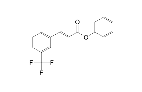 3-Trifluoromethylcinnamic acid, phenyl ester