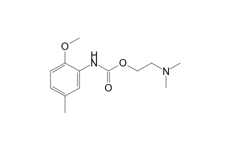 2-methoxy-5-methylcarbanilic acid, 2-(dimethylamino)ethyl ester