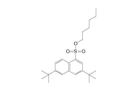 3,6-di-tert-butyl-1-naphthalenesulfonic acid, hexyl ester