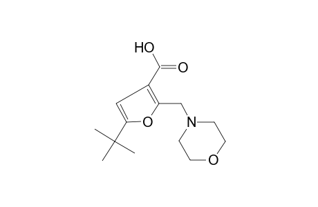 5-tert-Butyl-2-morpholin-4-ylmethyl-furan-3-carboxylic acid