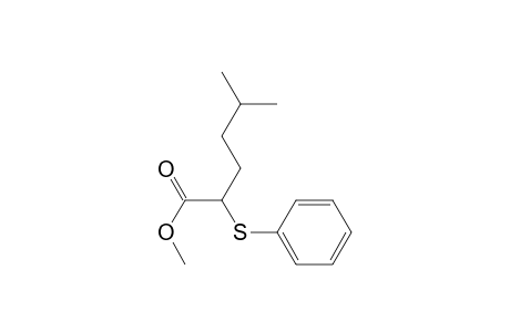Methyl-5-methyl-2-(phenylthio)hexanoate