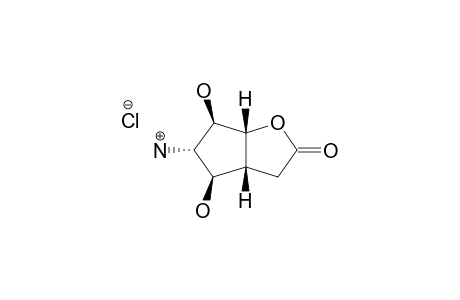 (1R,5R,6R,7S,8R)-7-AMINO-6,8-DIHYDROXY-2-OXABICYCLO-[3.3.0]-OCTAN-3-ONE-HYDROCHLORIDE