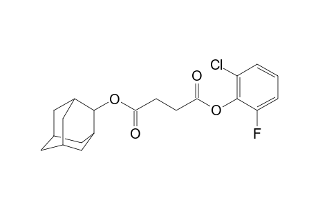 Succinic acid, 2-chloro-6-fluorophenyl adamant-2-yl ester