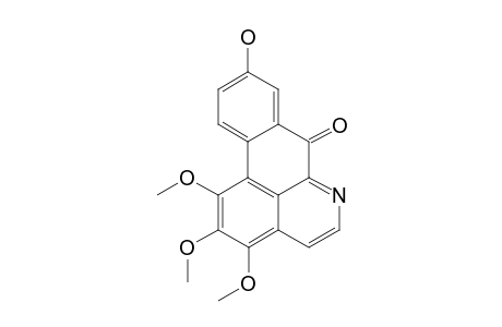 Subsessiline