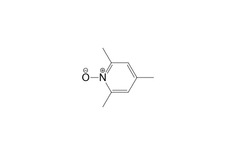 2,4,6-trimethyl-1-oxidanidyl-pyridin-1-ium