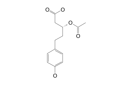 3-O-ACETYLNIDULOIC_ACID;(S)-3-ACETOXY-5-(PARA-HYDROXYPHENYL)-PENTANOIC_ACID