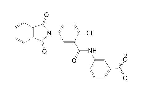 benzamide, 2-chloro-5-(1,3-dihydro-1,3-dioxo-2H-isoindol-2-yl)-N-(3-nitrophenyl)-