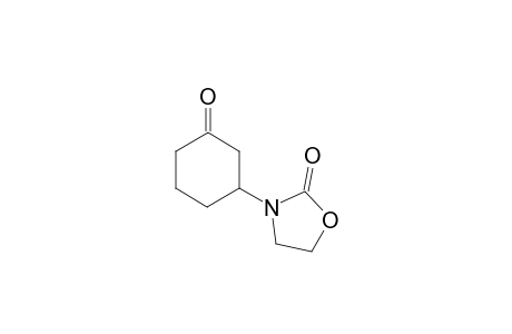 3-(3-Oxo-cyclohexyl)-oxazolidin-2-one
