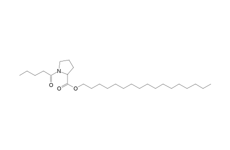 L-Proline, N-valeryl-, heptadecyl ester