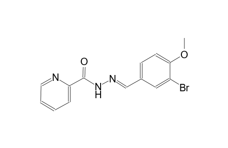 N'-[(E)-(3-bromo-4-methoxyphenyl)methylidene]-2-pyridinecarbohydrazide