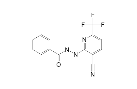 2-PHENYL-HYDRAZINO-3-CYANO-6-TRIFLUOROMETHYL-PYRIDINE