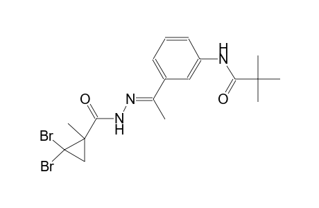 N-(3-{(1E)-N-[(2,2-dibromo-1-methylcyclopropyl)carbonyl]ethanehydrazonoyl}phenyl)-2,2-dimethylpropanamide