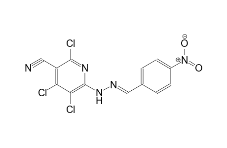 3-pyridinecarbonitrile, 2,4,5-trichloro-6-[(2E)-2-[(4-nitrophenyl)methylene]hydrazino]-