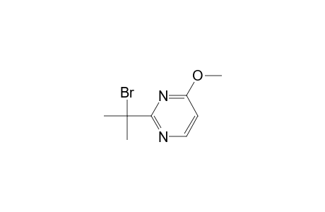 Pyrimidine, 2-(1-bromo-1-methylethyl)-4-methoxy-