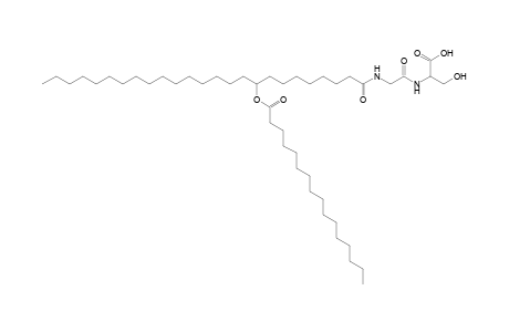 NAGlySer 16:0/25:0