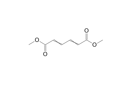 2,4-Hexadienedioic acid dimethyl ester