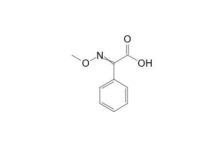 Benzeneacetic acid, alpha-(methoxyimino)-