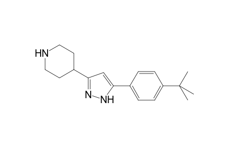 4-[5-(4-tert-butylphenyl)-1H-pyrazol-3-yl]piperidine