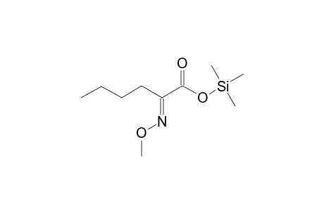Hexanoic acid, 2-(methoxyimino)-, trimethylsilyl ester
