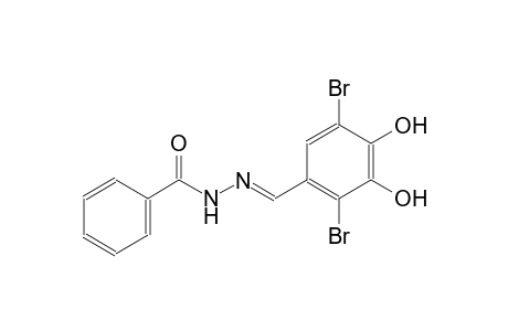 benzoic acid, 2-[(E)-(2,5-dibromo-3,4-dihydroxyphenyl)methylidene]hydrazide