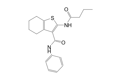 2-(butyrylamino)-N-phenyl-4,5,6,7-tetrahydro-1-benzothiophene-3-carboxamide