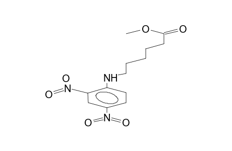 methyl 6-(2,4-dinitroanilino)hexanoate