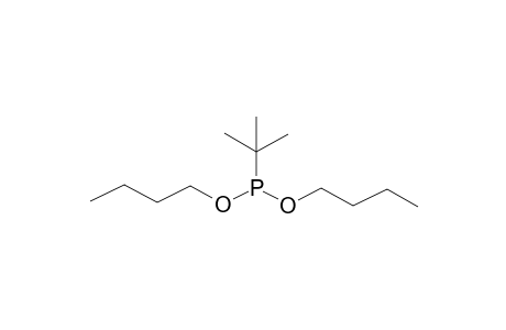 DIBUTYL TERT-BUTYLPHOSPHONITE