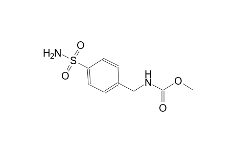 methyl 4-(aminosulfonyl)benzylcarbamate