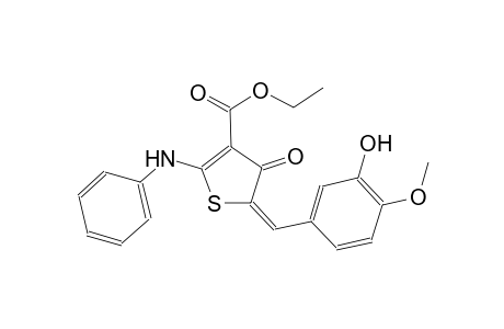 ethyl (5E)-2-anilino-5-(3-hydroxy-4-methoxybenzylidene)-4-oxo-4,5-dihydro-3-thiophenecarboxylate