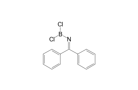 Borane, dichloro[(diphenylmethylene)amino]-