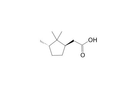 (1R,3S)-(2,2,3-Trimethylcyclopent-1-yl)acetic Acid