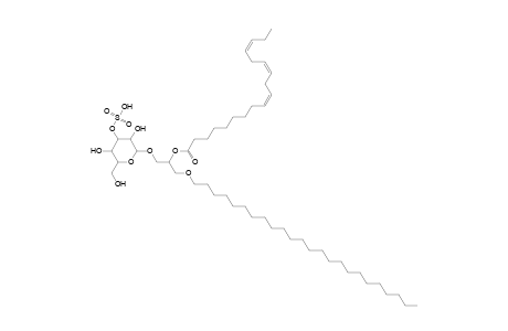 SMGDG O-24:0_18:3