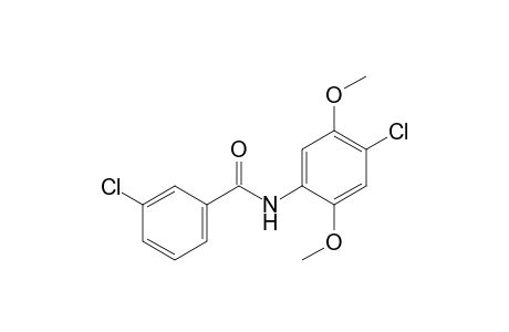 3-Chloro-N-(4-chloro-2,5-dimethoxyphenyl)benzamide