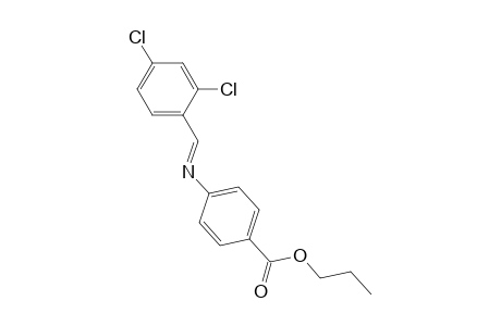 Propyl 4-([(E)-(2,4-dichlorophenyl)methylidene]amino)benzoate
