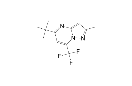 5-tert-butyl-2-methyl-7-(trifluoromethyl)pyrazolo[1,5-a]pyrimidine