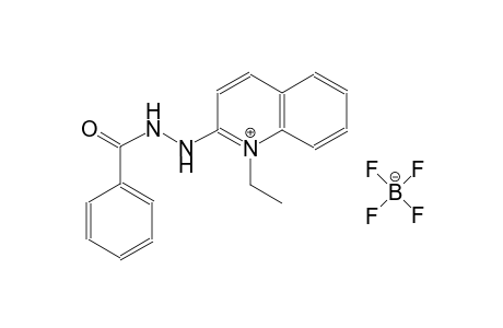2-(2-benzoylhydrazino)-1-ethylquinolinium tetrafluoroborate