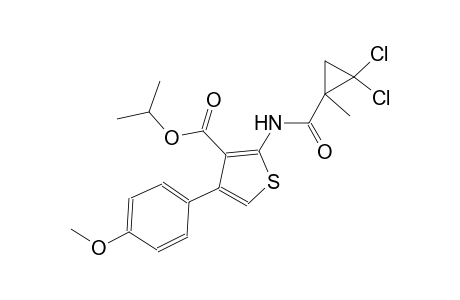 isopropyl 2-{[(2,2-dichloro-1-methylcyclopropyl)carbonyl]amino}-4-(4-methoxyphenyl)-3-thiophenecarboxylate