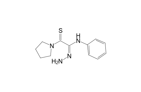 Anilino-thioacyl (N-methylpyrrolidinyl) amidrazone / or lactam