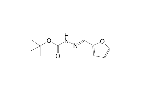 tert-butyl (2E)-2-(2-furylmethylene)hydrazinecarboxylate