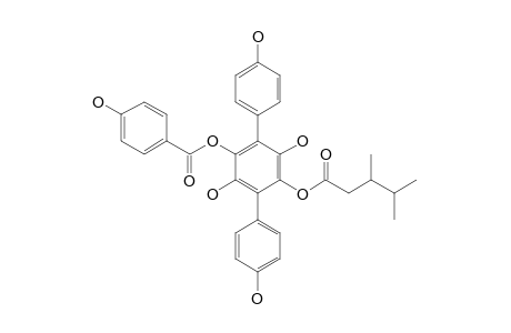 THELEPHANTIN-C