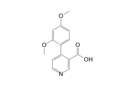 4-(2',4'-Dimethoxyphenyl)-3-nicotinic acid