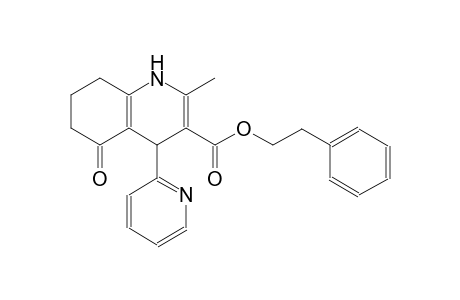 2-phenylethyl 2-methyl-5-oxo-4-(2-pyridinyl)-1,4,5,6,7,8-hexahydro-3-quinolinecarboxylate