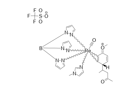 ENDO-MINOR-DIASTEREOMER